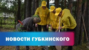 Экологические акции "Харампурнефтегаза"