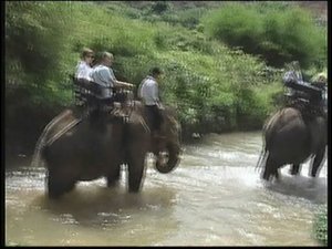 Туристическая поездка во Вьетнам.