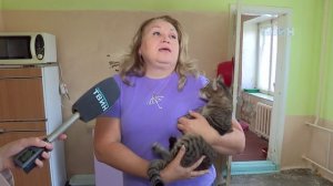 Любимые лапки