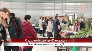 🌸 В Уссурийске пройдёт масштабный фестиваль гортензий
