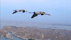 ░B░P░C░ ░-░ ░M░O░S░T░ ░H░I░G░H░ ░ ░F░I░N░A░L░C░V░T░