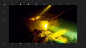 Медведев на финской границе _ Мигрант хотел погулять с девочкой   лесу _ Мать оставила умирать.