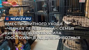 Вместо элитного ухода - «Черная передержка»: семья кинологов превратила «Dogtown» в ад для животных