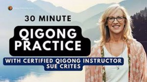 YT02-18 Цигун на каждый день с инструктором Sue Crites. Цигун Весеннего Леса (Chunyi Lin)