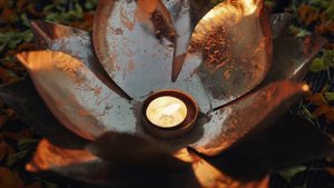 8811056-hd_1920_1080_25fps