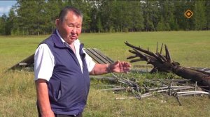 Булгунньахтаах Аал Луук маһа.