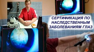 Сертификация взрослых собак по наследственным заболевания глаз