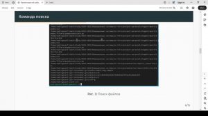 Презентация для защиты - "Поиск файлов" (Гасанли Н.Р.)
