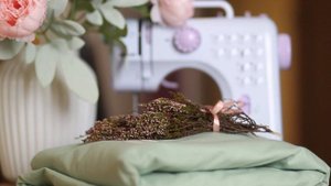 12270909_2560_1440_50fps