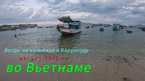 Выезды на Кальмара и Барракуду во Вьетнаме. Август 2025 г.