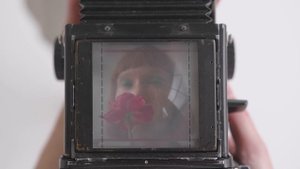 7728588-uhd_3840_2160_30fps