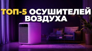 ТОП-5 лучших осушителей воздуха