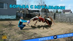 #22 Обработка деревьев, монтаж поликарбоната теплицы