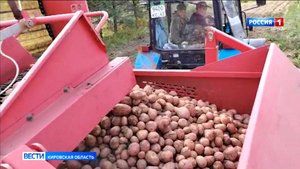 Урожайность картофеля и зерновых в регионе стала больше на треть