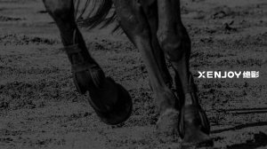 Xenjoy - wALL-IN решение