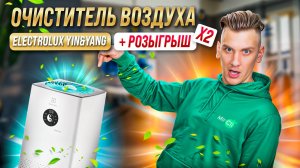 Чистый и здоровый воздух в доме очистители Electrolux YIN & YANG + РОЗЫГРЫШ х2