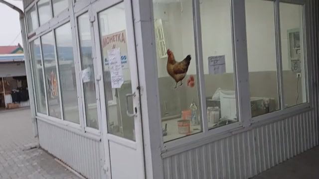 Обычный павильон превратился в Эко-Лавку.mp4 смотреть онлайн