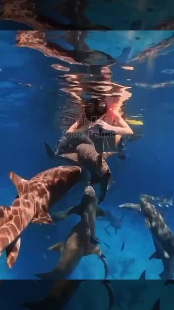 Мальдивы. Maldives. 马尔代夫。 смотреть онлайн