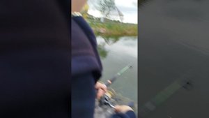 Попробовали покидать закидушку в парке и вот что вышло