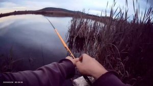 Ловля карася на поплавок🎣 Насадка тесто.