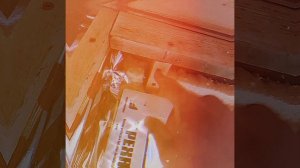 1000033871.mp4(Собака наблюдает за устройством каркаса для откосов у оконных проёмов в доме А-фрейм)