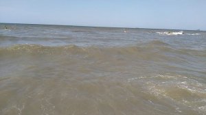 Бурлит море Азовское, ветер в станице Голубицкая