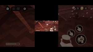 я играю в дорс в Роблокс