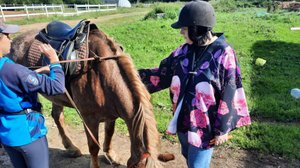 Рассказ на английском о своих выходных - Верховая езда