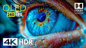 Город OLED
