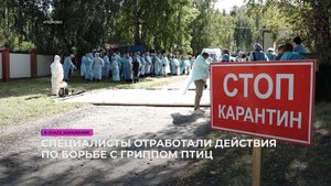 Специалисты отработали действия по борьбе с гриппом птиц
