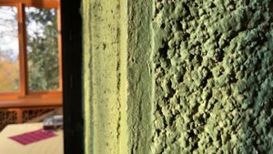 Сочинская дача Сталина. Stalin's dacha in Sochi