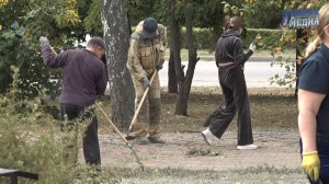 Субботник ко Дню города