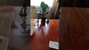 Таро.Наблюдение за вами.