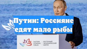 Путин: Россияне едят мало рыбы