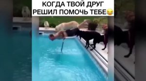 ПРИКОЛЬНЫЕ И СМЕШНЫЕ ВИДЕО НА КАНАЛЕ / КРУТЫЕ И РЖАЧНЫЕ ВИДЕО ОНЛАЙН / СМОТРЕТЬ ВИДЕО БЕЗ РЕГИСТРАЦИ