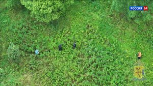 В Оричевском районе полицейские нашли заблудившегося в лесу грибника с помощью беспилотника