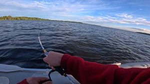 Рыбалка с лодки на волго балтийском канале (шекснинское водохранилище)