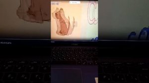 2 класс Английский в фокусе Алфавит