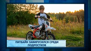 Питбайк завирусился среди подростков