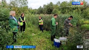 Вести Санкт-Петербург. Выпуск 08.35 от 05.09.2025