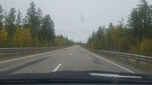 Дорога домой