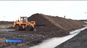 В 2025 году уборка сахарной свеклы в Башкортостане началась раньше обычного  – сюжет «Вестей»