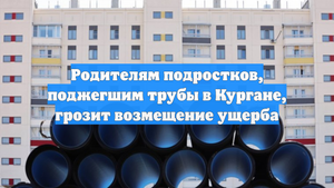 Родителям подростков, поджегшим трубы в Кургане, грозит возмещение ущерба