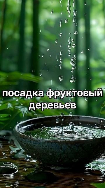 Приносящие пользу 3 деяния