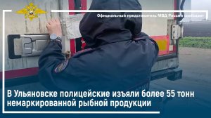 В Ульяновске полицейские изъяли более 55 тонн немаркированной рыбной продукции