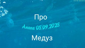 Анапа 05.09.2025 Про Медуз