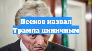 Песков назвал Трампа циничным