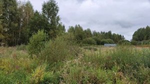 Суворово 580