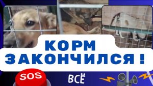 КОРМ ЗАКОНЧИЛСЯ.