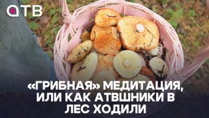 «Грибная» медитация, или как АТВшники в лес ходили